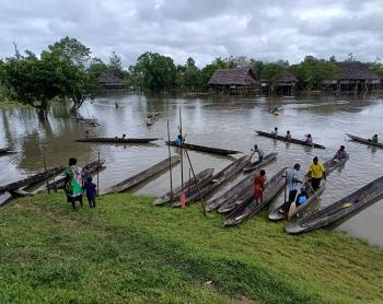 Canoes parking on the Sepik river bank
