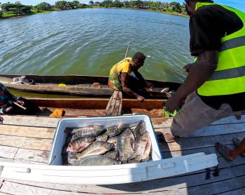 Where’s the catch? The haul of fish that doesn’t need to be taken ashore