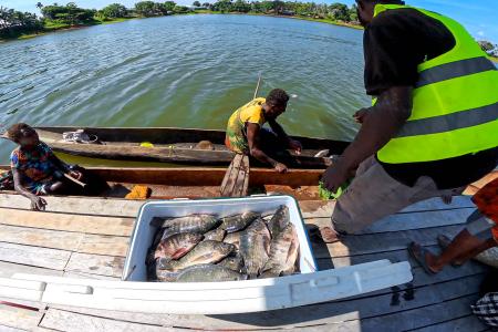 Where’s the catch? The haul of fish that doesn’t need to be taken ashore