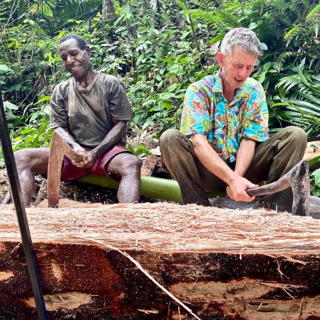 chopping the sago trunk