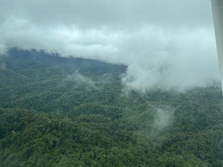 arial shot of remote PNG - dense forest and clouds hanging low