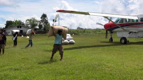 Men carrying the cacao beans