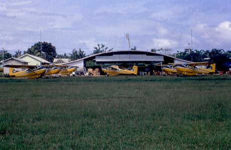 A fleet of small planes outside a hangar